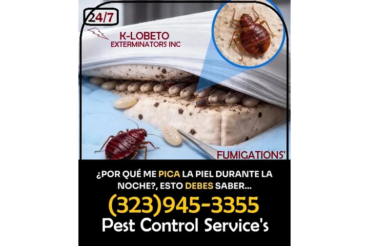 FUMIGACIONES HUNTINGTON PARK image 8