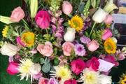 Envia flores en Tijuana thumbnail