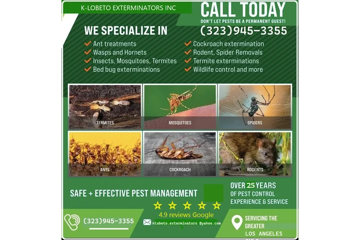 FUMIGATION - LOCAL TREATMENTS image 1