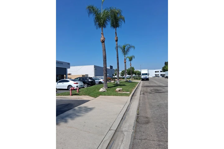 Memo's Tree Service image 1