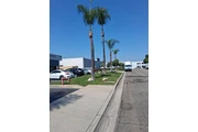 Memo's Tree Service