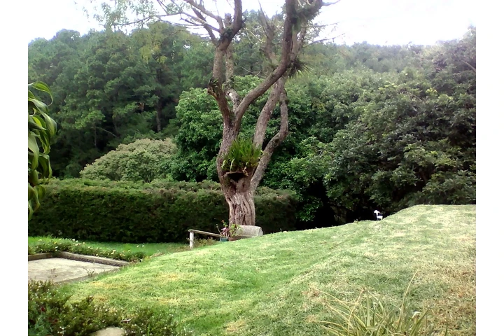 $1800 : Se alquila habitación amueblad image 6