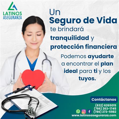 Seguros de Vida image 1