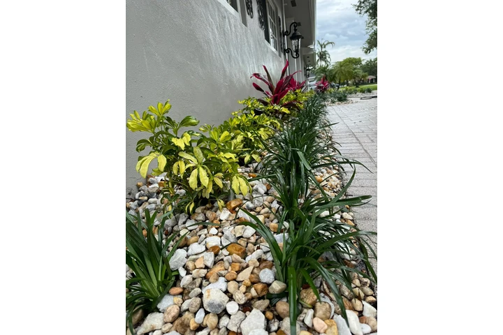 V Maintenance Landscaping Prof image 8