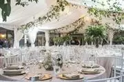 Decoramos bodas quinceañeras thumbnail