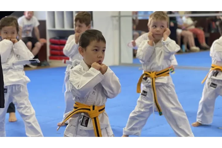 Child’s Martial Arts Classes image 1
