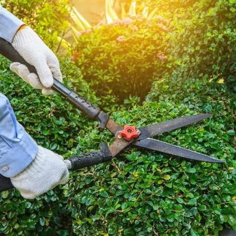 ORANGE COUNTY GARDENING image 3