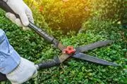 ORANGE COUNTY GARDENING thumbnail 3