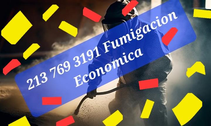 Fumigador Honesto Economico image 1