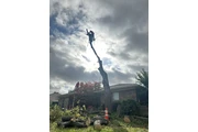 Tree service thumbnail