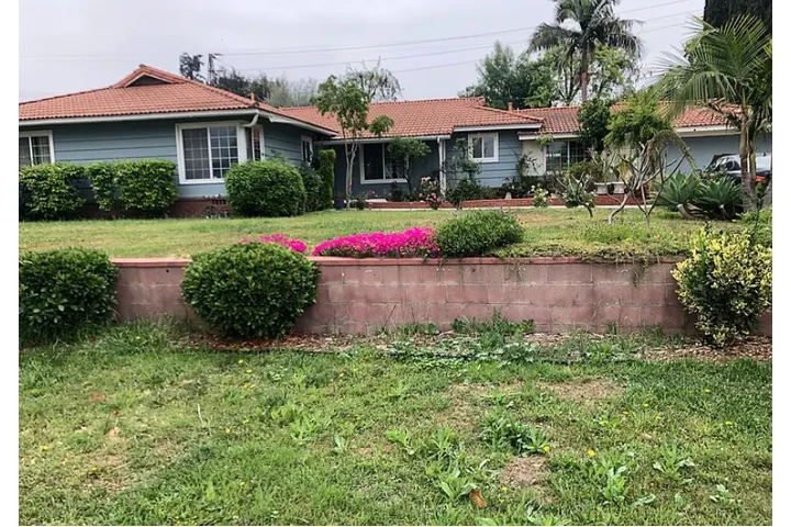 $1500 : 1 Bedroom + Living room/Kitche image 1