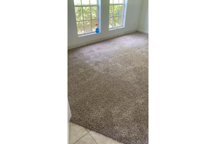 Carpet image 3