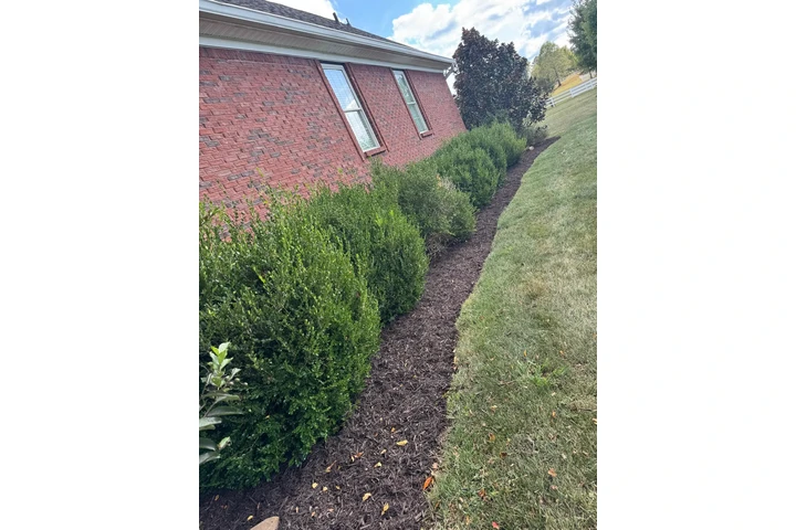 Diaz Lawn Care And Landscaping image 6