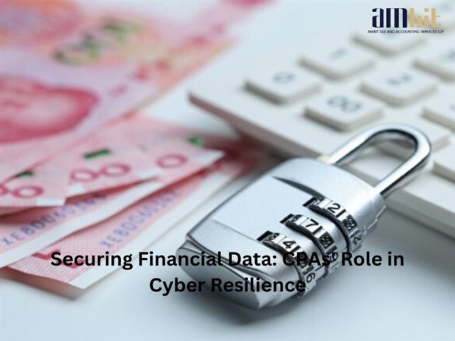Securing Financial Data: CPa.. image 1