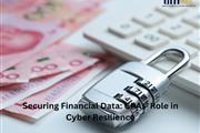 Securing Financial Data: CPa..
