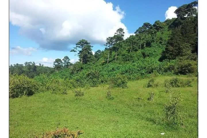 $822206 : TERRENO EN VENTA EN VISTA HERM image 5