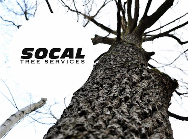 SoCal Tree Service image 2