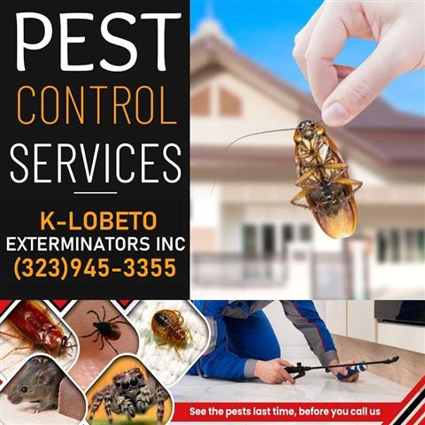 PEST CONTROL MAYWOOD 24/7.- image 9