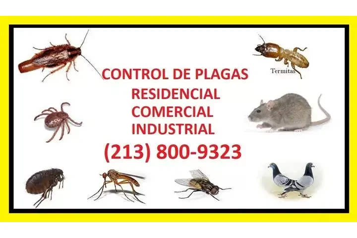 CONTROL DE PLAGAS... image 1