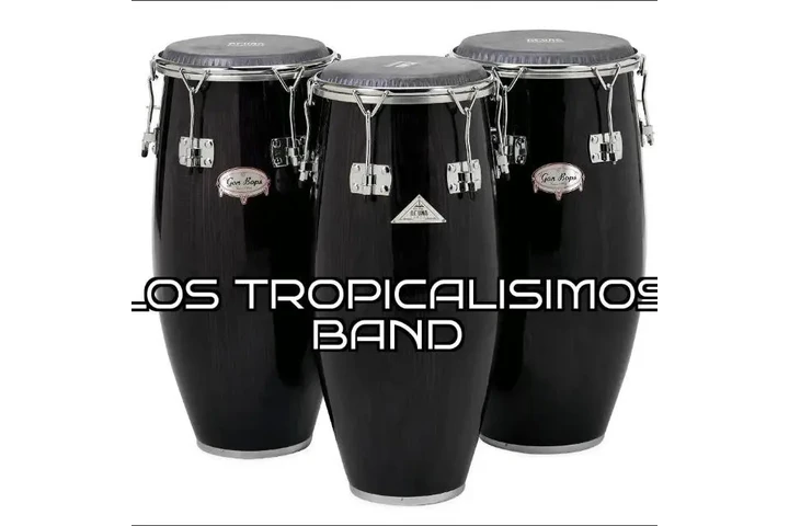 Timbalero image 1