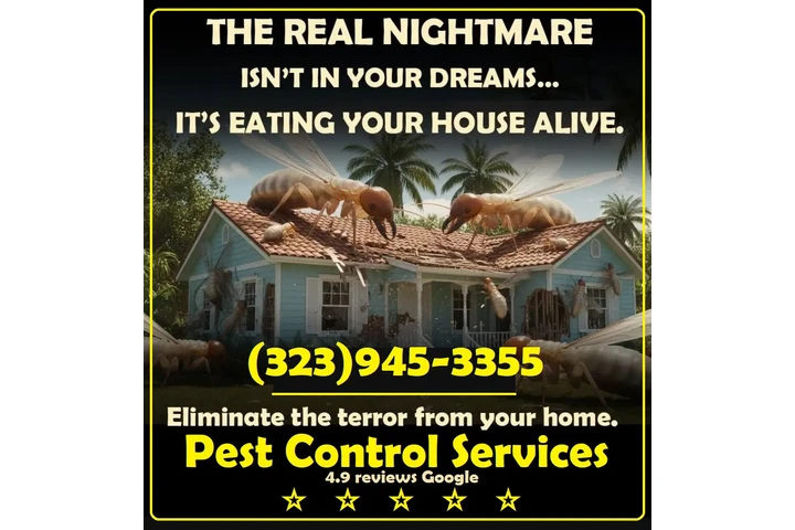 Fumigations - New Year 2026 image 8