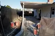 Stucco thumbnail