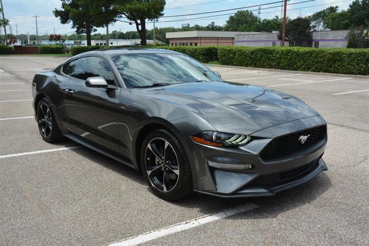 2018 Mustang EcoBoost image 5