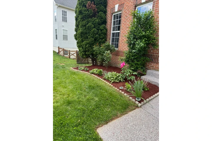 🌳HIDALGO LANDSCAPING SERVICES image 8