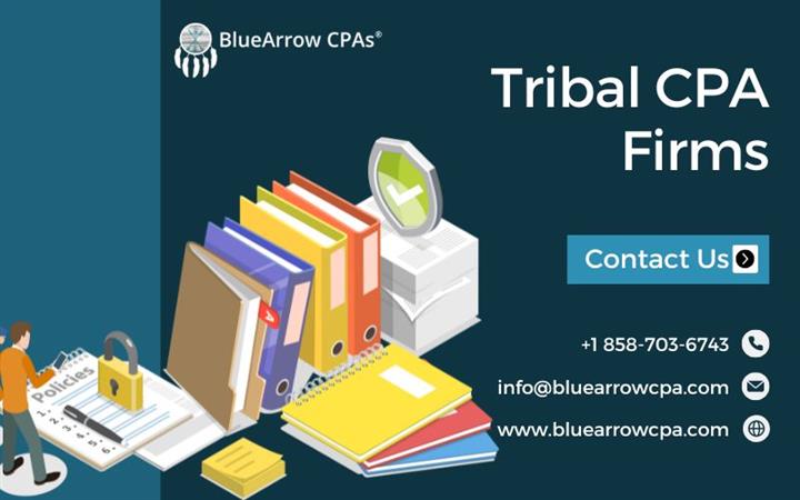 Expert Tribal CPA Firms | BAI image 1