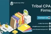 Expert Tribal CPA Firms | BAI