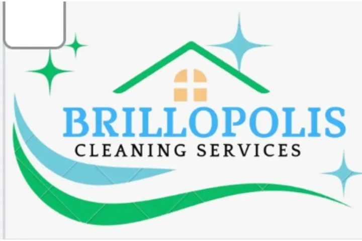 BRILLOPOLIS Cleaning services image 1
