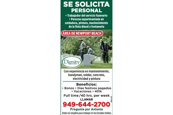 JARDINERIA/ MANTENIMIENTO image 1