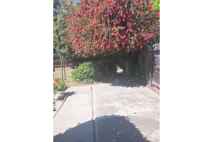 Fredy’s House Cleaning image 5