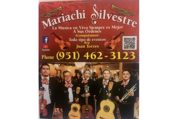🎺MARIACHI A SUS ÓRDENES🎺 image 2