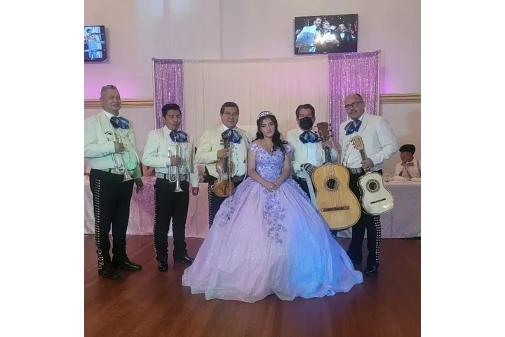 Mariachi Los Gallitos image 3