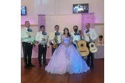 Mariachi Los Gallitos thumbnail