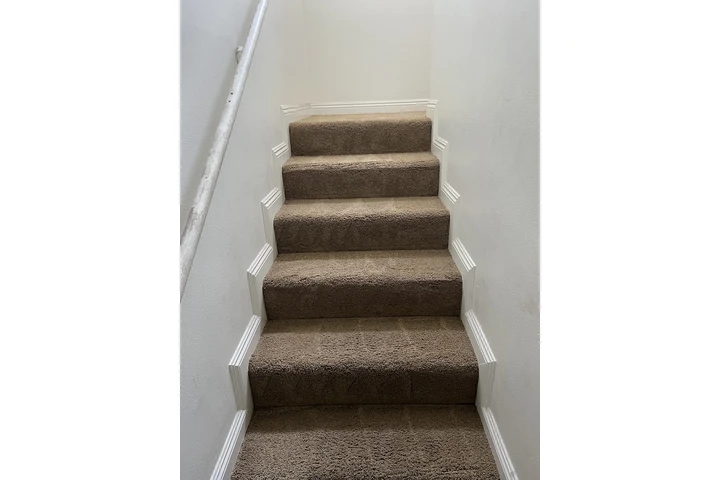 Lavado de Alfombras image 8