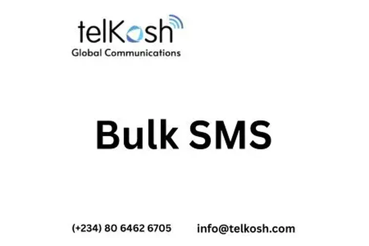 Reliable Bulk SMS Solutions image 1