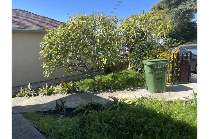 Dylan,s gardening services image 1