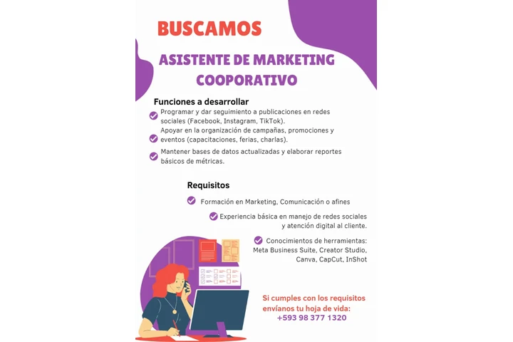Asistente de Marketing image 1
