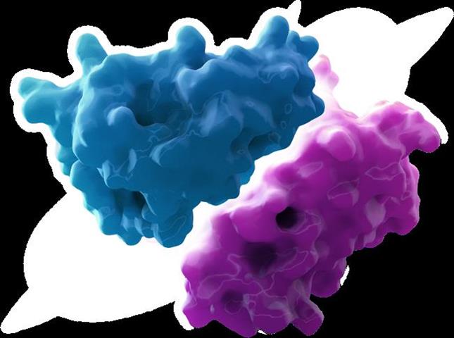 protein-protein interactions image 1