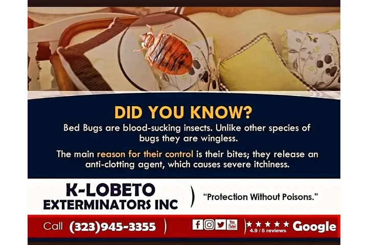 FUMIGATION ALL LOS ANGELES.- image 1