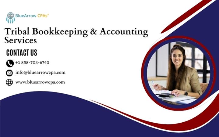 Bookkeeping & Accounting image 1