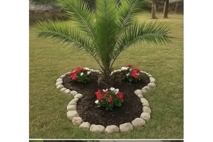 Jardín verde image 5