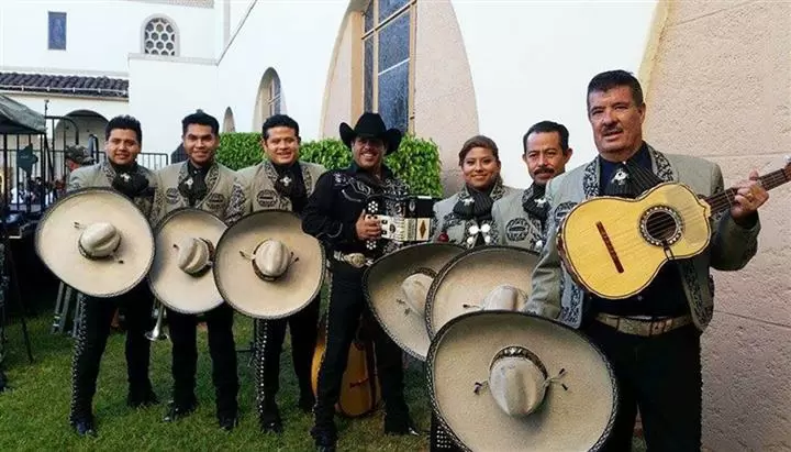 Mariachi profesional image 3