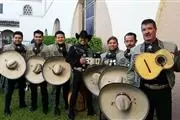 Mariachi profesional thumbnail