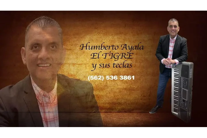 EL TIGRE Y SUS TECLAS image 1