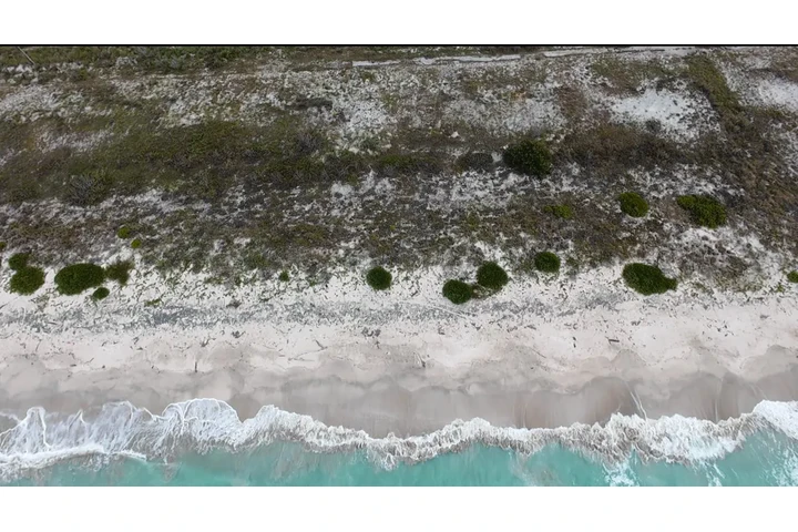 Invest in beachfront lots! image 3