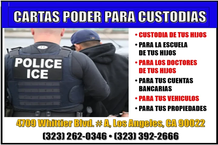█►DIVORCIOS►CARTAS CUSTODIAS⁉️ image 2