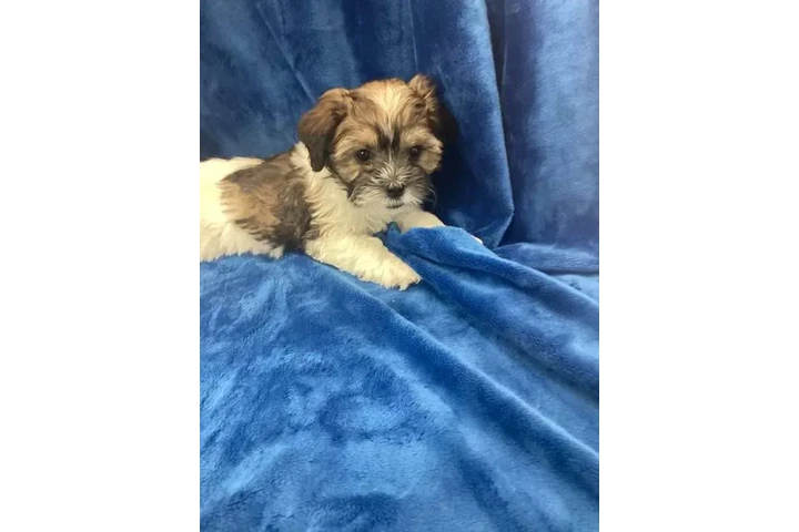 HIDE OTHER CAMS image 2